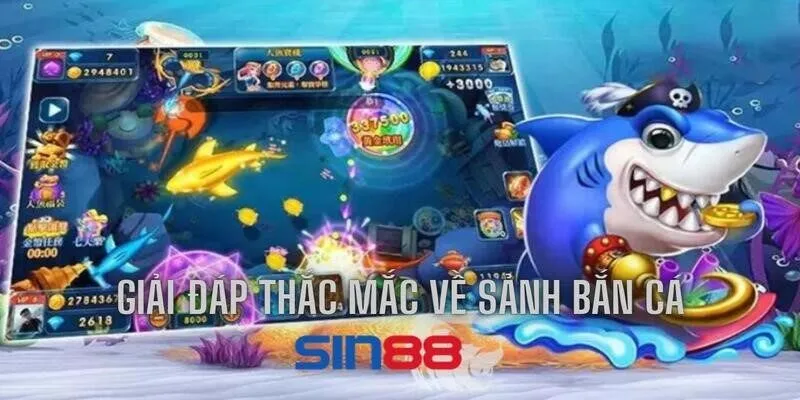 Một số thắc mắc đến từ người chơi trước khi cá cược