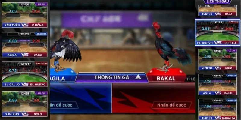 Sảnh cược chuyên nghiệp mọi sư kê Việt đều không nên bỏ lỡ