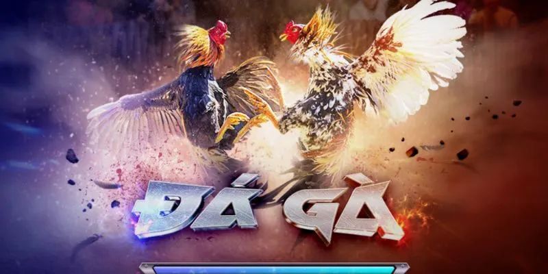 Các trận đá gà ảo diễn ra liên tục mọi khung giờ